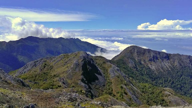 Binaya: Jantung Belanja Sendangarum yang Tak Pernah Lekang Waktu